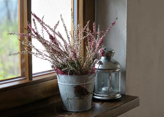 Babie Lato ויסלאו